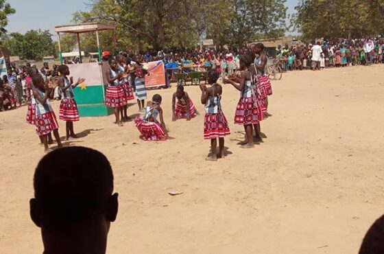 SAHA Immobilier magnifie l’excellence